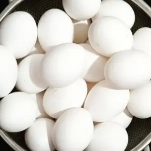 تخم مرغ ساده