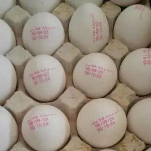 تخم مرغ مارک دار سیمرغ