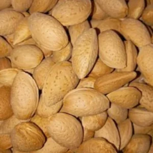 بادام سنگی فله