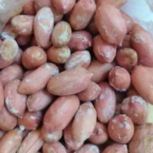 مغز بادام زمینی فله