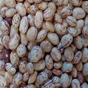 لوبیا چیتی فله