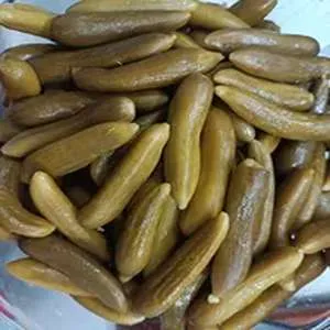 خیارشور نول صالحی