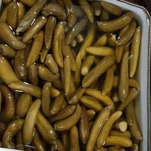 خیارشور ریز پامچال فله