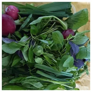 سبزی تازه خوردن