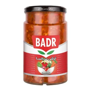ترشی سالسا بدر | 370 گرمی